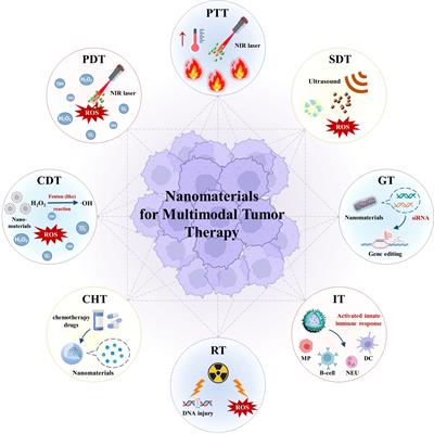 Editorial: Nanomaterials and multimodal tumor therapy